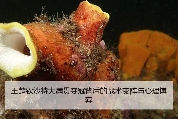 王楚钦沙特大满贯夺冠背后的战术变阵与心理博弈
