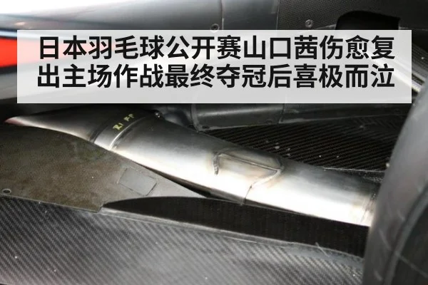 日本羽毛球公开赛山口茜伤愈复出主场作战最终夺冠后喜极而泣
